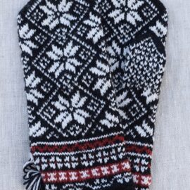 Labakud 03.02. -5 – koopia