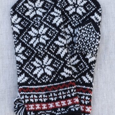 Labakud 03.02. -5 – koopia