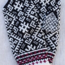 Labakud 03.02. -4 – koopia