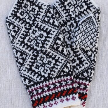 Labakud 03.02.26. -1 – koopia