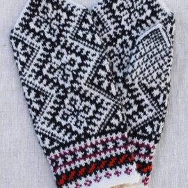 Labakud 03.02.26. -1 – koopia